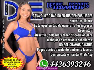 Mucho dinero para chicas liberales y ambiciosas 4426393246