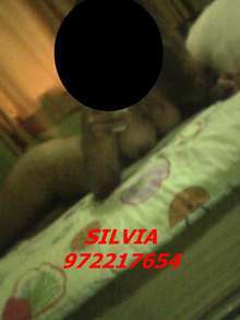 GUAPAS CHICAS TE ESPERAN PARA BRINDARTE UN SUPER SERVICIO