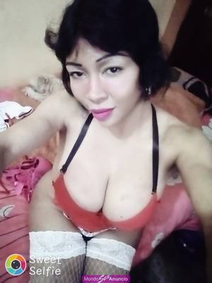 andrea trans  tetona y culo grande