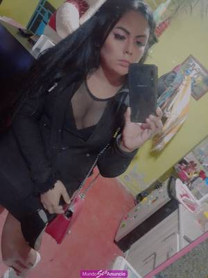 Santa anita disponible activa y pasiva trans completa