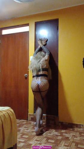 SEXO POR PLACER Tranformista de closet, solo pagas el hotel