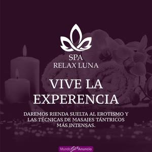 Necesito dama de compañia en lince scort pagos diarios