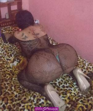 trans  morochita