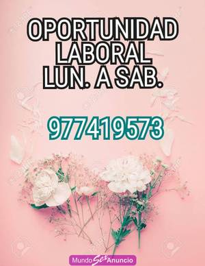 RECIBE PAGOS DIARIOS DE HASTA 800 SOLES, TODO CONFIABLE!