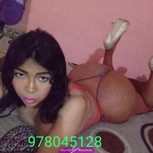 servicios  todo  el año