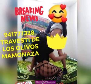 941777328 SIEMPRE LOS OLIVOS