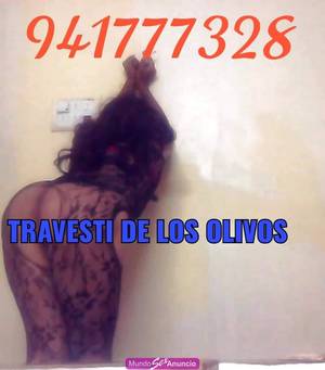 941777328 TRAGONA  OLIVOS