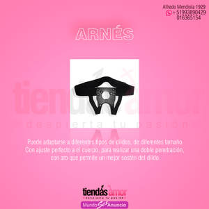 ARNES AJUSTABLE  PARA TODO TIPO DE DILDOS / 993890429