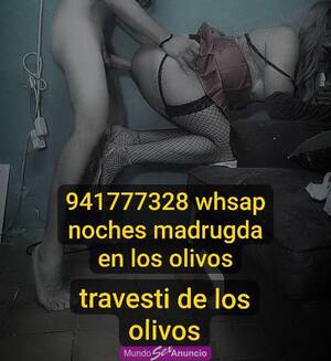 LUCY LOS OLIVOS TRANS NOCHES